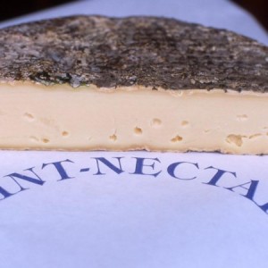saint-nectaire-750x450 saint-nectaire-750x450